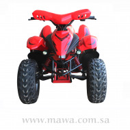 دراجة نارية دولفين 100 cc  احمر 